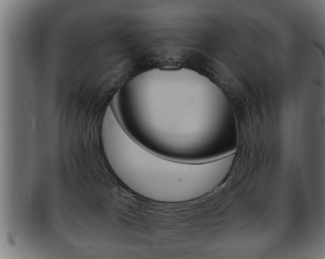 X0000091950037200709061048