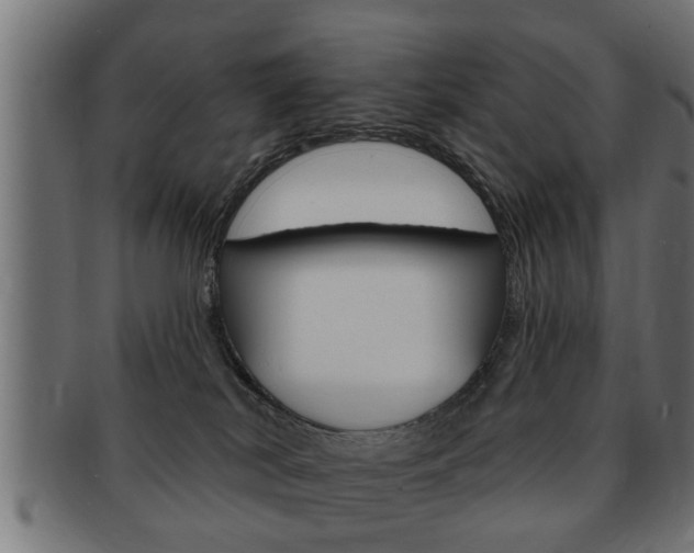 X0000091950038200709061048