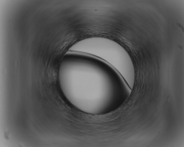 X0000091950039200709061048