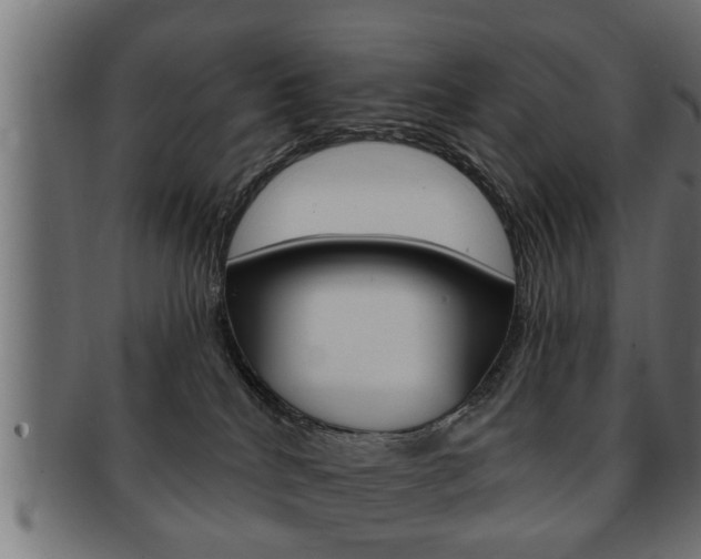 X0000091950040200709061048
