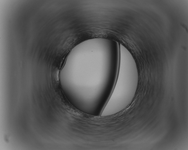 X0000091950041200709061048