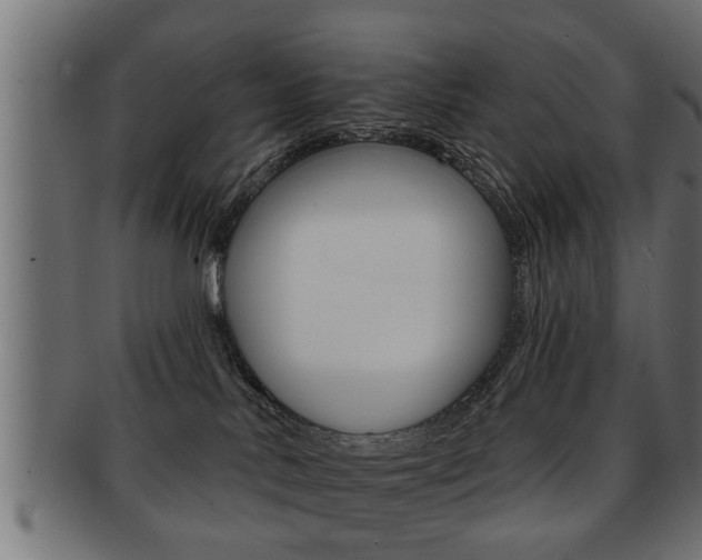 X0000091950042200709061048