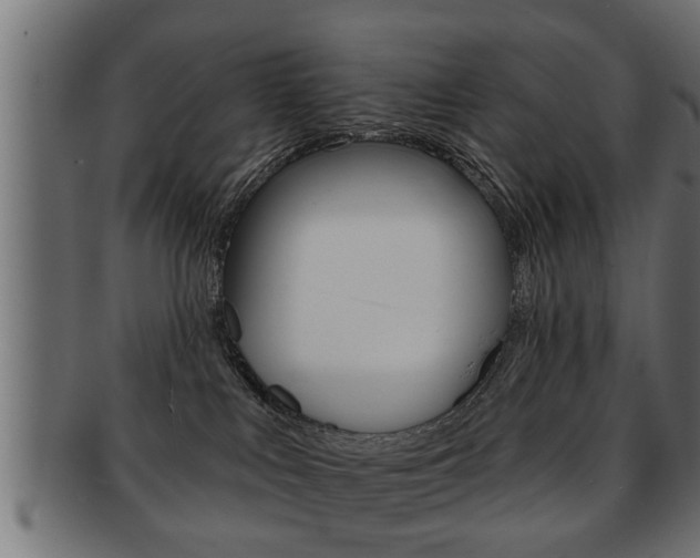 X0000091950043200709061048