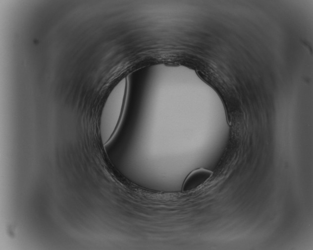 X0000091950044200709061048