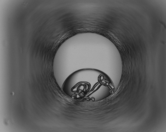 X0000091950045200709061048
