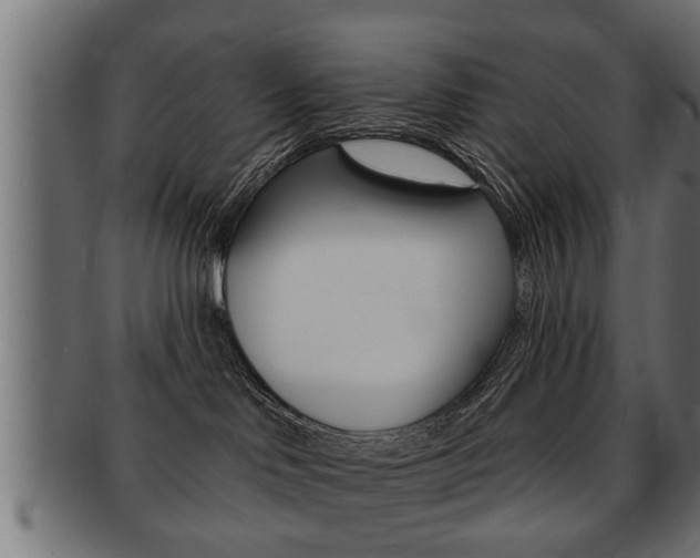 X0000091950046200709061048