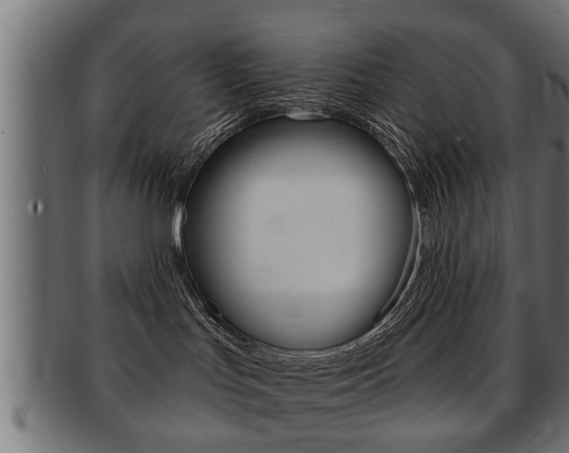 X0000091950047200709061048