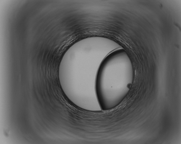 X0000091950048200709061048