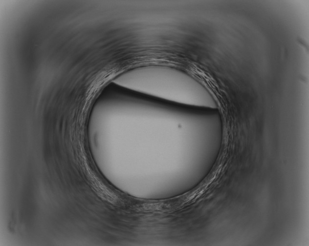 X0000091950049200709061048