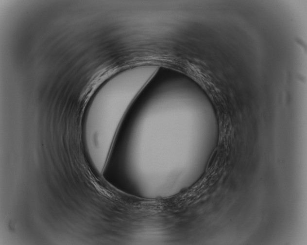 X0000091950050200709061048