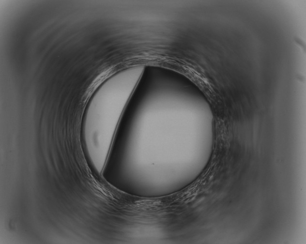 X0000091950051200709061048