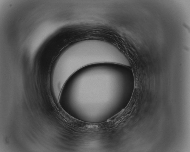 X0000091950052200709061048