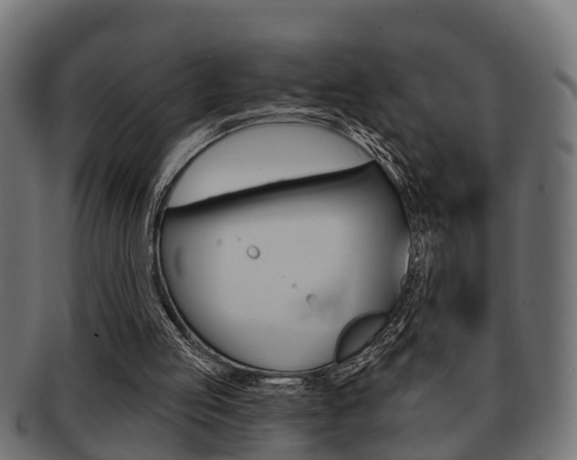 X0000091950053200709061048