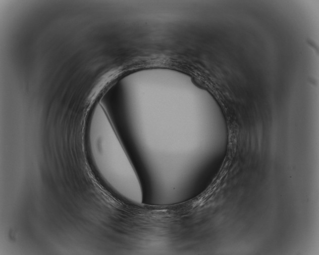 X0000091950054200709061048