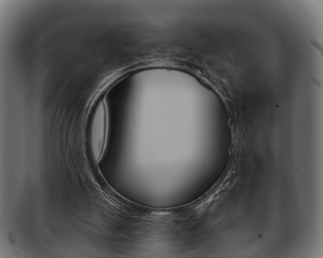 X0000091950055200709061048
