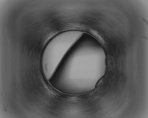 X0000091950058200709061048