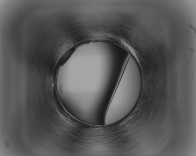 X0000091950059200709061048