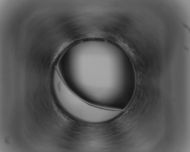 X0000091950060200709061048