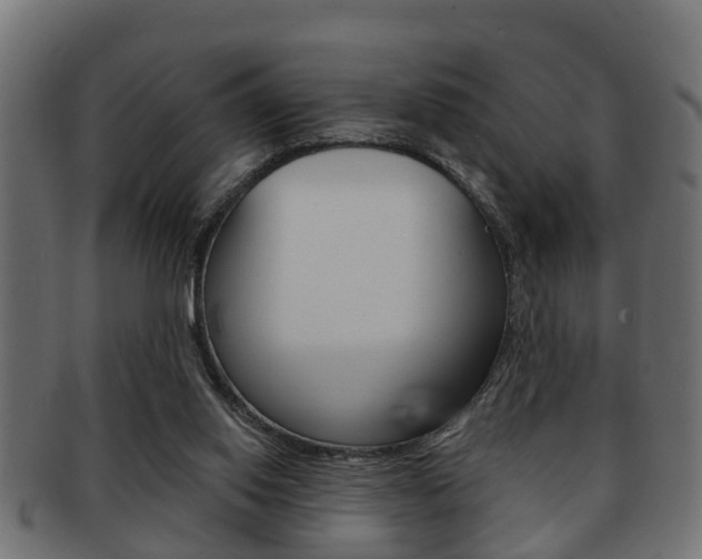 X0000091950062200709061048