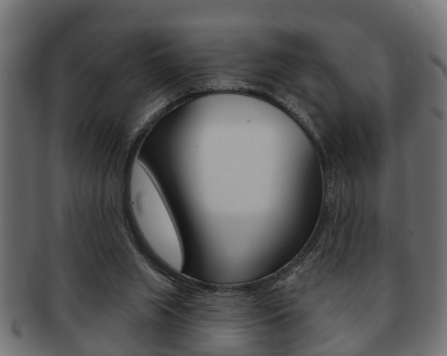 X0000091950063200709061048