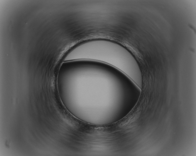 X0000091950064200709061048
