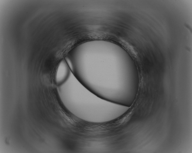 X0000091950065200709061048