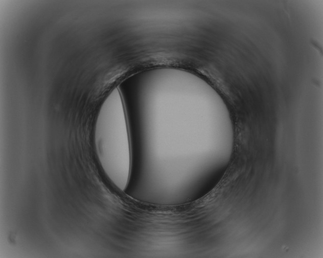 X0000091950066200709061048