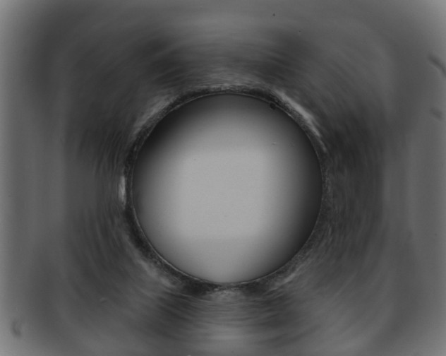 X0000091950067200709061048