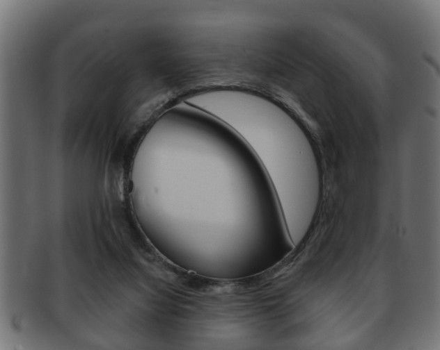 X0000091950068200709061048