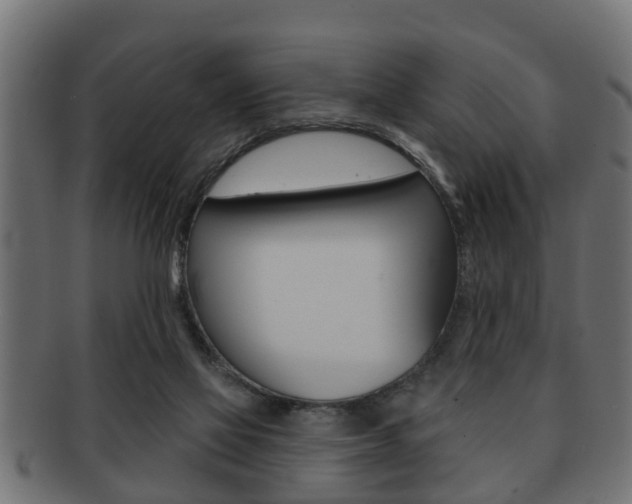 X0000091950069200709061048
