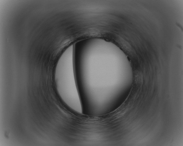 X0000091950072200709061048