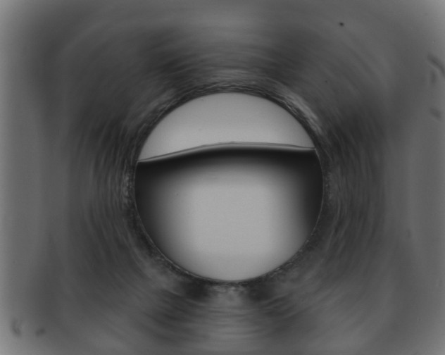X0000091950073200709061048