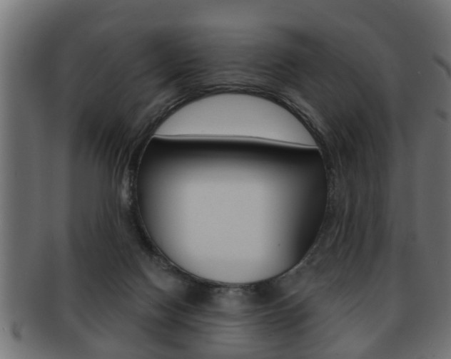 X0000091950074200709061048