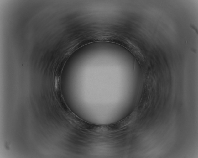 X0000091950075200709061048