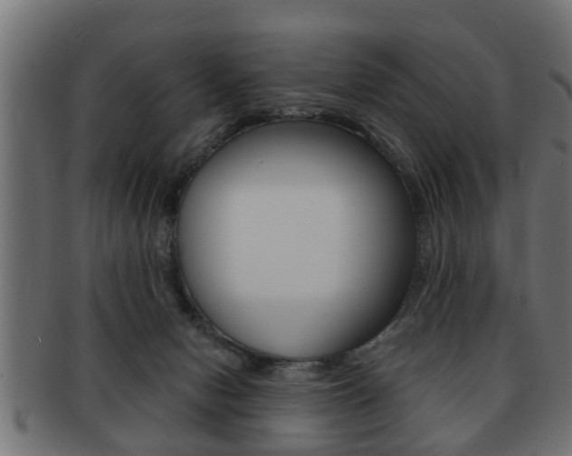 X0000091950078200709061048