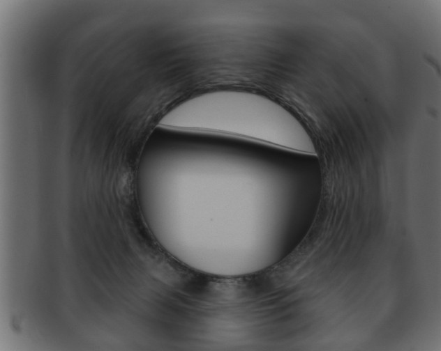 X0000091950079200709061048