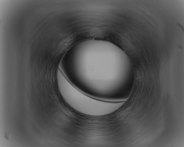 X0000091950080200709061048