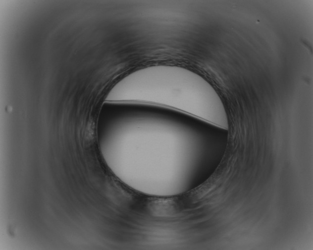 X0000091950081200709061048