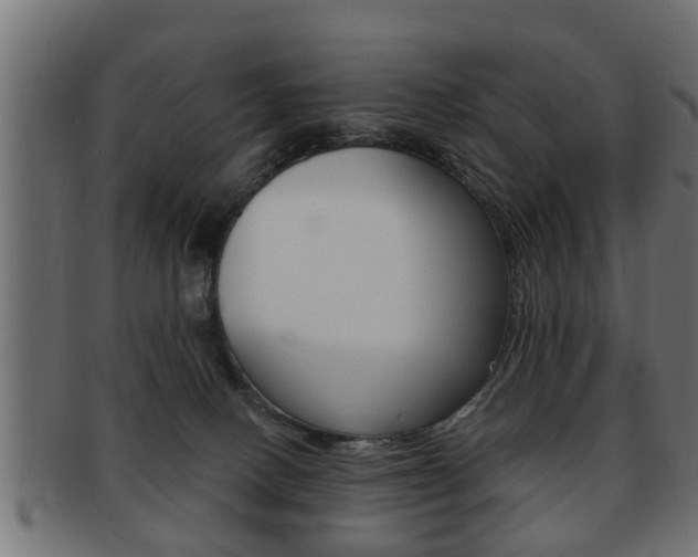 X0000091950082200709061048