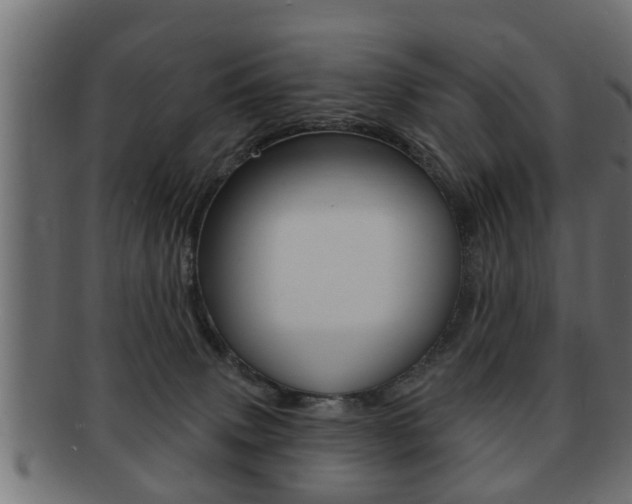 X0000091950083200709061048