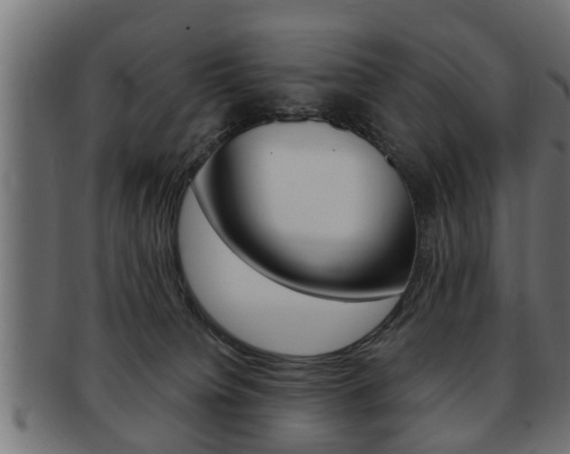 X0000091950084200709061048