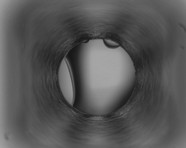 X0000091950085200709061048