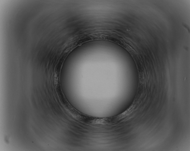 X0000091950086200709061048