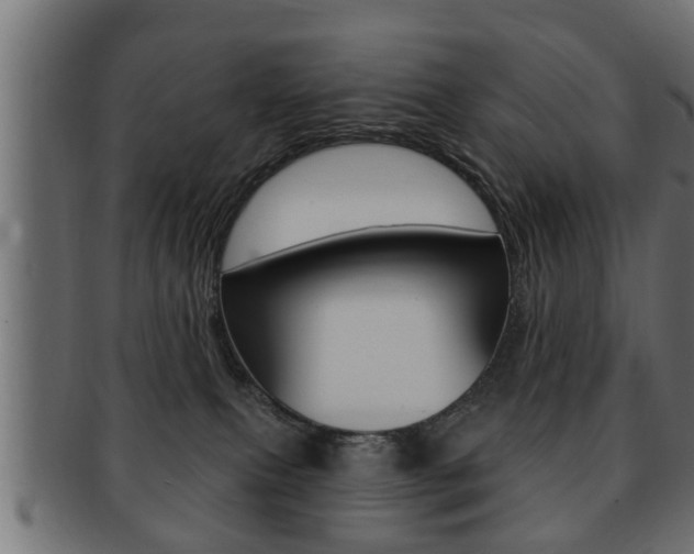 X0000091950087200709061048
