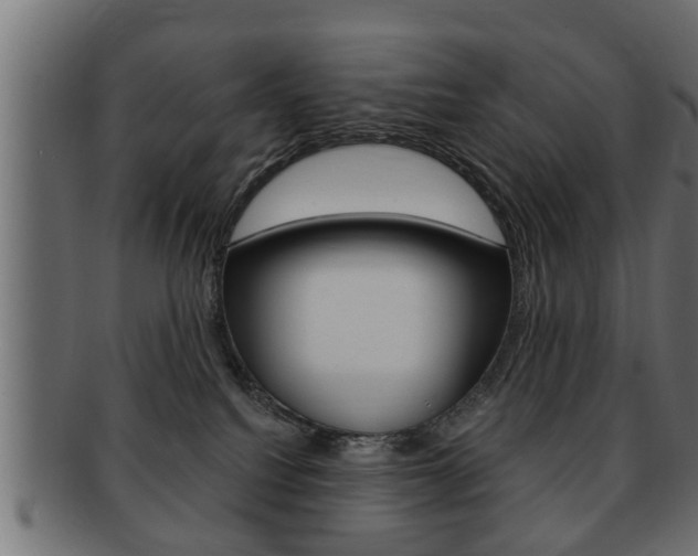 X0000091950088200709061048