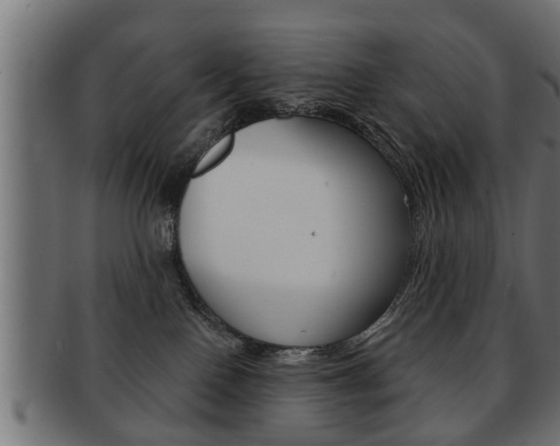 X0000091950090200709061048