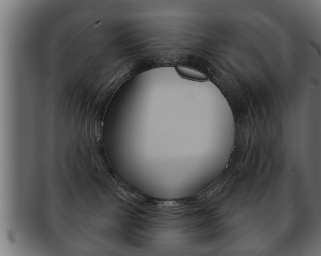 X0000091950091200709061048