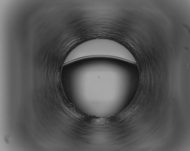X0000091950092200709061048