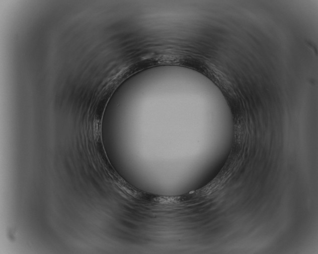 X0000091950093200709061048