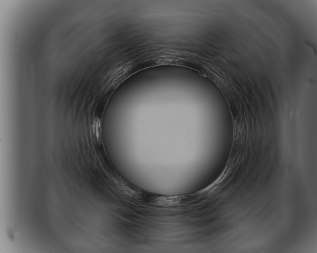 X0000091950094200709061048